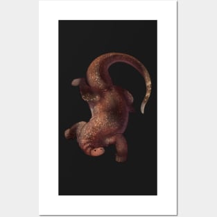 Cozy Cotylorhynchus Posters and Art